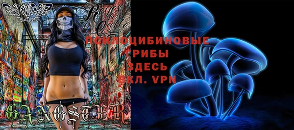 ПСИЛОЦИБИНОВЫЕ ГРИБЫ Алексеевка