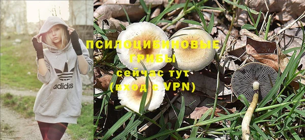 ПСИЛОЦИБИНОВЫЕ ГРИБЫ Алексеевка