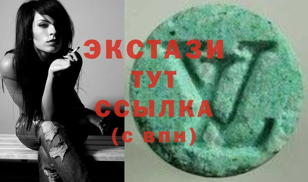 индика Лабытнанги