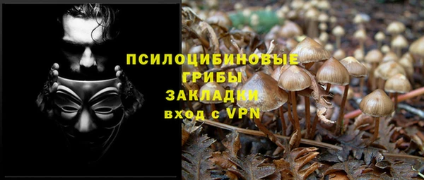ПСИЛОЦИБИНОВЫЕ ГРИБЫ Алексеевка