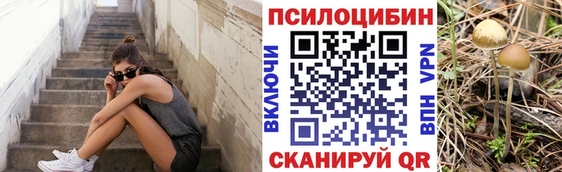 Псилоцибиновые грибы MAGIC MUSHROOMS  где найти   Белорецк 